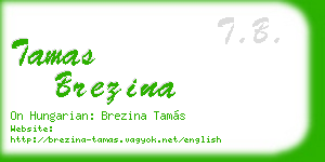 tamas brezina business card